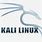 Kali Linux Terminal Logo
