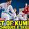 Karate Kumite Techniques