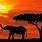 Kenya Desktop Wallpaper