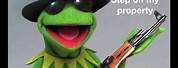 Kermit Frog Meme