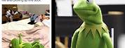 Kermit the Frog Memes