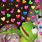 Kermit the Frog with Hearts