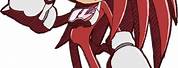 Knuckles the Echidna Sonic Riders