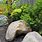Landscaping with Boulders Rocks