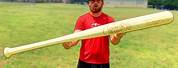 Largest Baseball Bat Used in a Game