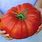 Largest Tomato