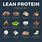 Lean Protein Snacks