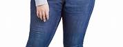 Levi's Women's Plus Size Jeans