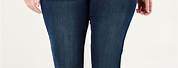 Levi Signature Jeans Plus Size