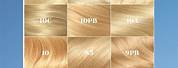 Light Golden Blonde Hair Color Chart