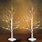 Lighted Birch Trees for Indoor Decoration