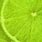 Lime Green Background HD