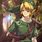 Link Legend of Zelda Manga