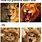 Lion Cat Meme