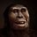 Lucy Early Hominid