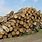 Lumber Logs