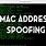 Mac Address Spoofing
