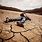 Man Dying of Thirst in Desert