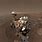 Mars Rover 4K