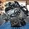 Mazda Tribute V6 Engine