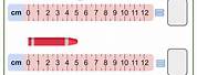 Measuring Length of Objects Worksheet