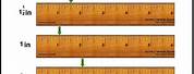 Measuring in Inches Worksheet.pdf