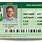 Medical Marijuana ID Card