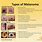 Melanoma Skin Cancer Types