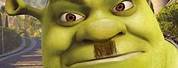 Memes 2019 Dank Shrek