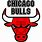 Michael Jordan Chicago Bulls Logo