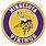 Minnesota Vikings Round Logo