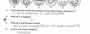 Mitosis Worksheet Answers Key Phases of the Cell