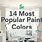 Most Popular Paint Colors Now