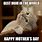 Mother's Day Funny Cat Memes