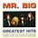 Mr. Big Greatest Hits