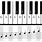 Musical Keyboard Notes