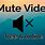 Mute Video