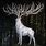 Mythical White Deer