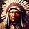 Native American Chief Portraits