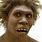 Neanderthal Ancestors