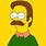 Ned Flanders Mustache