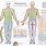 Nerve Pain Dermatome Chart