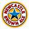 Newcastle Brown Ale Star