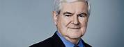 Newt Gingrich Portrait