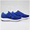 Nike Blue Sports Shoes