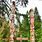 Northwest Totem Poles