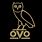OVO Owl SVG