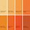 Orange Paint Swatches