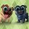 Orby Puppy Dog Pals