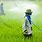 Organic Farming Pesticides